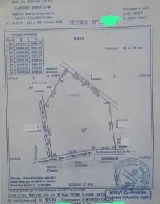 DOMAINE CLÔTURÉ  À VENDRE,  TOGBA