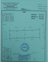 vente  de  deux (02) parcelles ensemble à Abomey-Calavi 