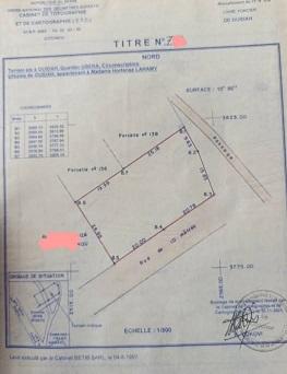 DOMAINE À VENDRE OUIDAH CENTRE 