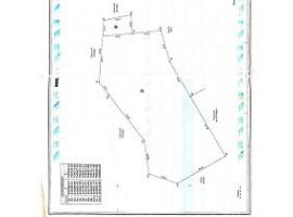 DOMAINE À VENDRE À KPOMASSÈ – DÉDOMÈY