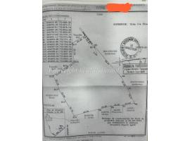 DOMAINE 1 HECTARE À VENDRE – TORI BOSSITO