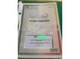 PARCELLE CLÔTURÉE À VENDRE À FIDJROSSÈ ADJAHA